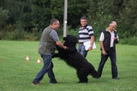 /album/fotogalerie-caly-des-cendres-de-lune/img-2900-jpg/