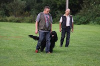 /album/fotogalerie-caly-des-cendres-de-lune/img-2889-jpg/