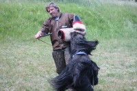 /album/fotogalerie-finn-des-travailleurs-barbus/img-0069-jpg/