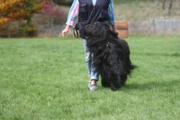 /album/fotogalerie-finn-des-travailleurs-barbus/img-0090-jpg/