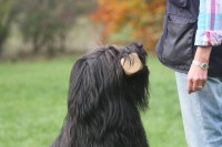 /album/fotogalerie-finn-des-travailleurs-barbus/img-0099-jpg/